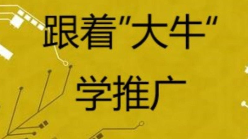 口碑营销流程案例分析：揭秘高效转化之道